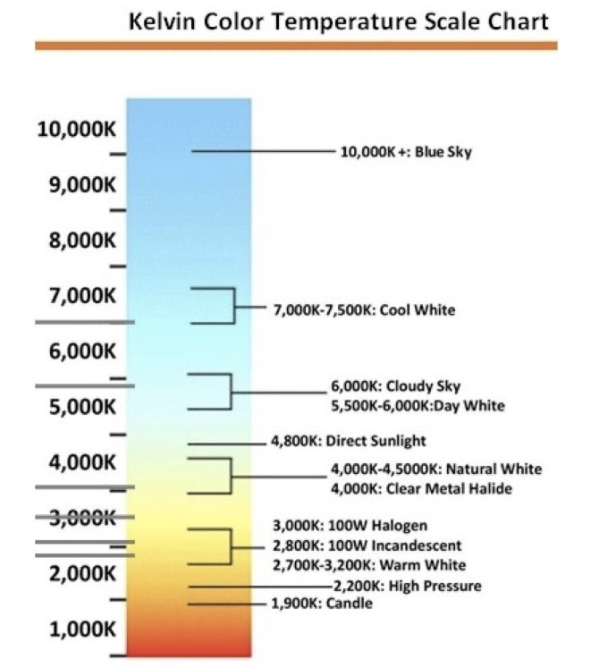 图片包含 室内, 小, 桌子, 不同

描述已自动生成