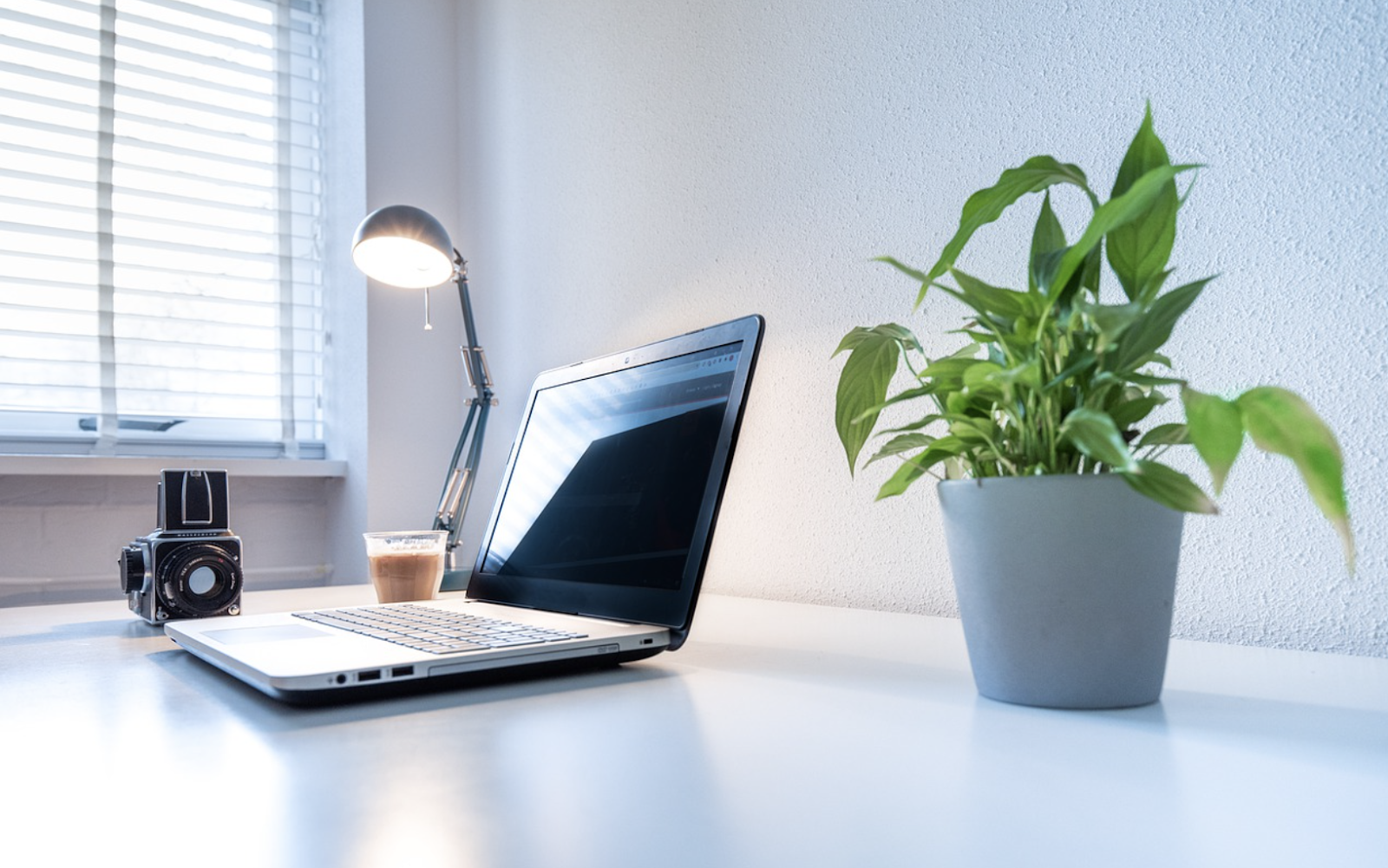 圣诞树上面有灯光

低可信度描述已自动生成